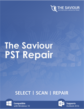 The Saviour PST Repair - Boxshot