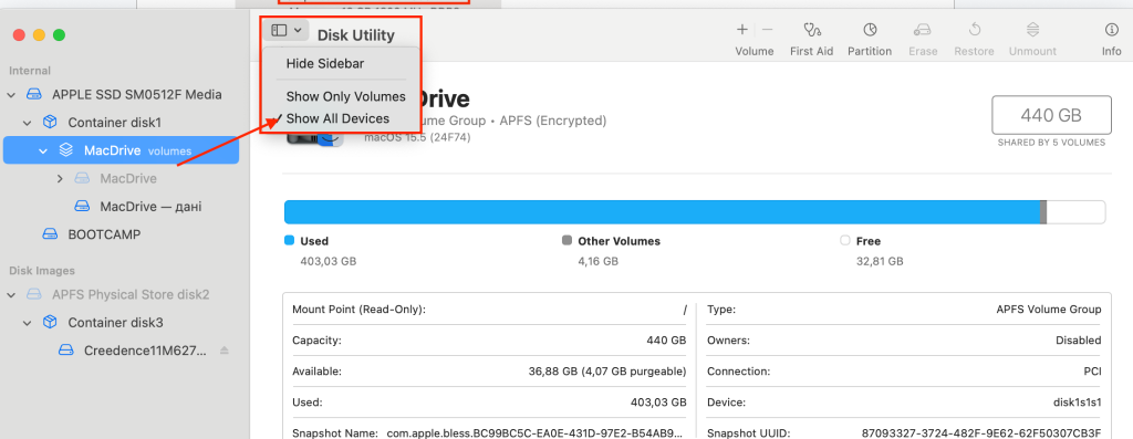 Recovery Mode > Disk Utility > Show All Devices