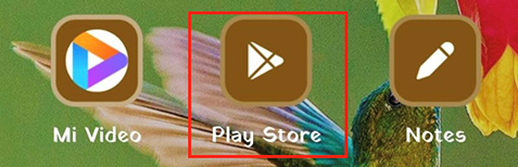 Google Play Store in Android device