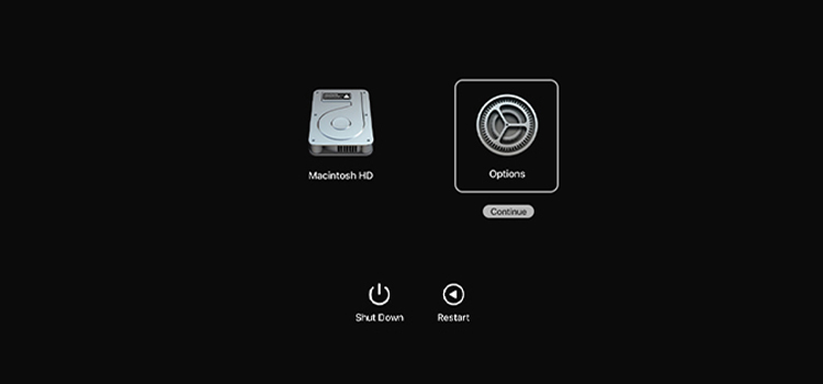 Interface after using power button + shift + control + option keys