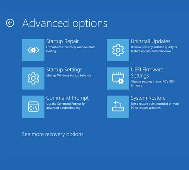 Select: Troubleshoot > Advanced options > Command Prompt