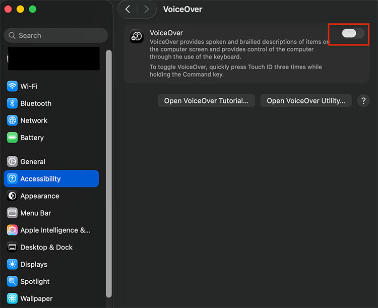 choose VoiceOver